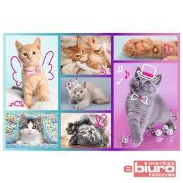 PUZZLE 60EL. SŁODKIE KOCIAKI TREFL