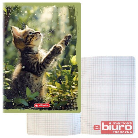 ZESZYT HER ANIMALS A5 16K 70G KRATKA KOLOROWA
