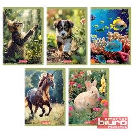 ZESZYT HER ANIMALS A5 16K 70G KRATKA KOLOROWA