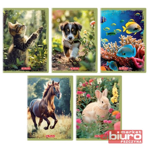 ZESZYT HER ANIMALS A5 16K 70G KRATKA KOLOROWA