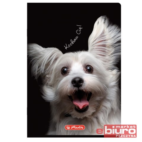 ZESZYT HER CRAZY ANIMALS A4 60K 70G KRATKA