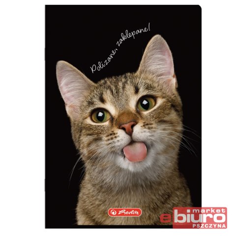 ZESZYT HER CRAZY ANIMALS A4 60K 70G KRATKA