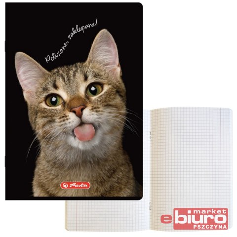 ZESZYT HER CRAZY ANIMALS A5 60K 70G KRATKA