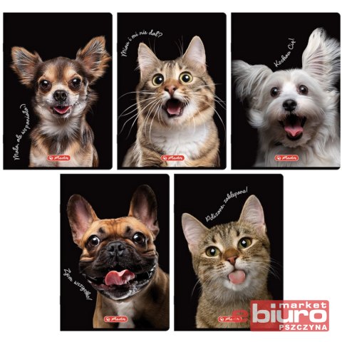 ZESZYT HER CRAZY ANIMALS A5 60K 70G KRATKA