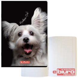 ZESZYT HER CRAZY ANIMALS A5 80K 70G KRATKA