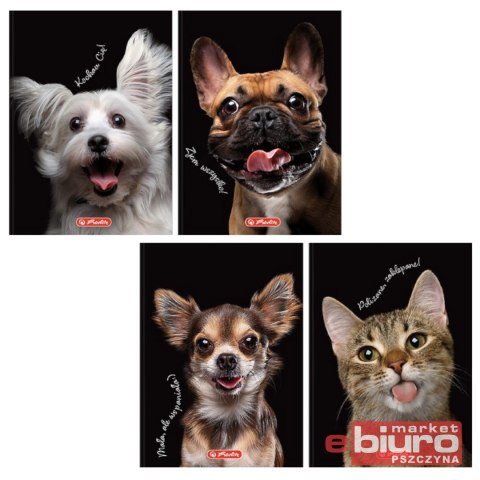 BRULION CRAZY ANIMALS SZYTY A6 80K 70G KRA HERLITZ