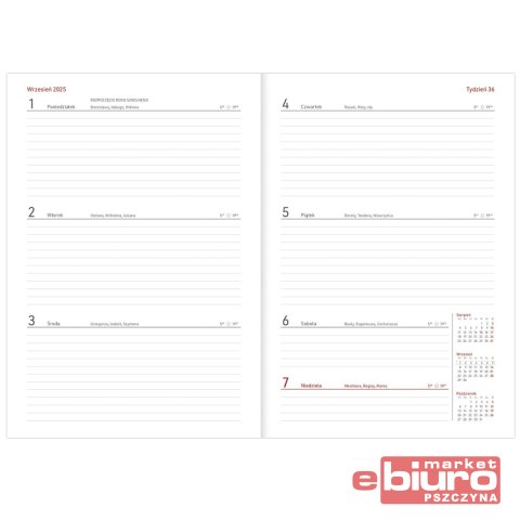 KALENDARZ NAUCZYCIELA B5 PCV BEZBARWNY KOTY