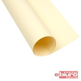 KARTON OXF A2 160G 12 KREMOWY