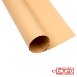 KARTON OXF A2 160G 16 JASNOBRĄZOWY