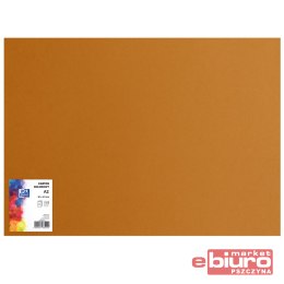 KARTON OXF A2 160G 19 BRĄZOWY