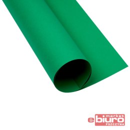 KARTON OXF A2 160G 63 CIEMNOZIELONY