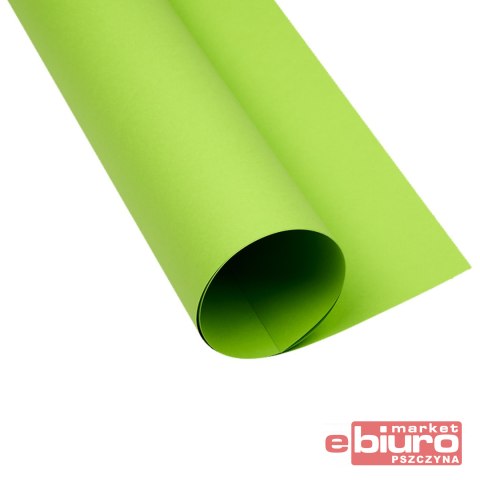 KARTON OXF A2 160G 66 JASNOZIELONY