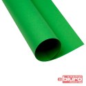 KARTON OXF A2 160G 68 ZIELONY
