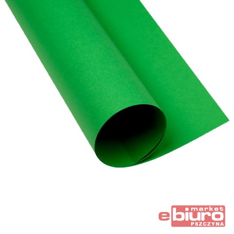 KARTON OXF A2 160G 68 ZIELONY