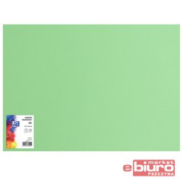 KARTON OXF A2 160G 69 GROSZKOWY