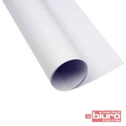 KARTON OXF A2 160G 85 LILIOWY