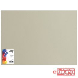 KARTON OXF A2 160G 94 SZARY