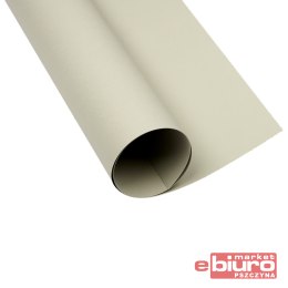 KARTON OXF A2 160G 94 SZARY