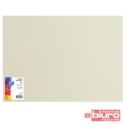KARTON OXF A3 160G 93 JASNOSZARY