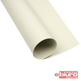 KARTON OXF A3 160G 93 JASNOSZARY