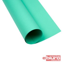 KARTON OXF B2 225G 64 TURKUSOWY