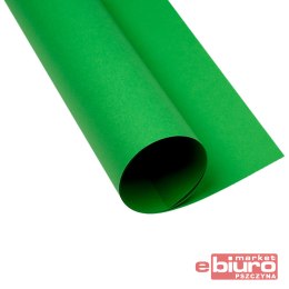 KARTON OXF B2 225G 68 ZIELONY