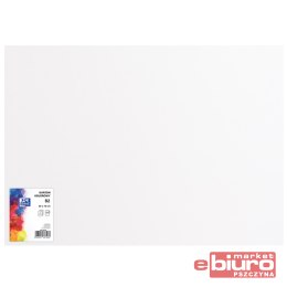 KARTON OXF B2 225G 7 BIAŁY