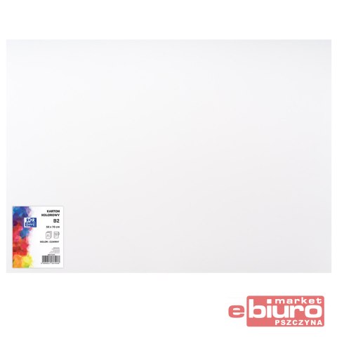 KARTON OXF B2 300G BIAŁY