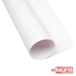 KARTON OXF B2 300G BIAŁY