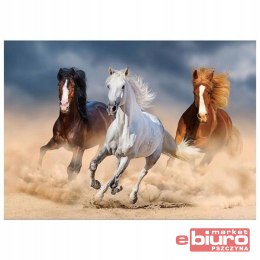 MOZAIKA DIAMENTOWA 30X40 KONIE 4 TSGK81394 TITANUM