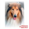 MOZAIKA DIAMENTOWA 30X40 LASSIE TBS01371-02 TITANUM