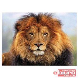 MOZAIKA DIAMENTOWA 30X40 LEW TSGK77295 TITANUM