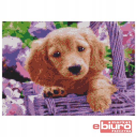 MOZAIKA DIAMENTOWA 30X40 PIES TMF20876 TITANUM