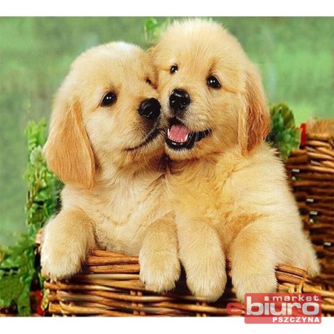 MOZAIKA DIAMENTOWA 30X40 PSY 2 TYAB26269 TITANUM