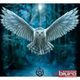 MOZAIKA DIAMENTOWA 30X40 SOWA TMS24372 TITANUM