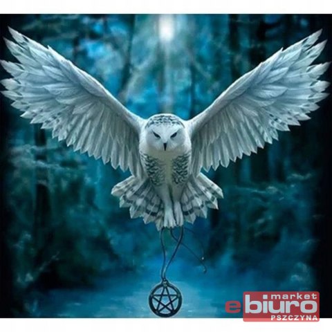 MOZAIKA DIAMENTOWA 30X40 SOWA TMS24372 TITANUM