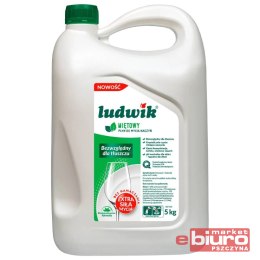 PŁYN DO NACZYŃ LUDWIK MIĘTOWY 5L KARNISTER