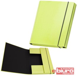 TECZKA P/310/31 SKRZYD Z GUM PASTELOVE PAST LIMONK