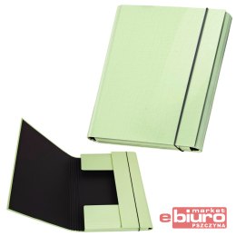 TECZKA P/310/32 SKRZYD Z GUM PASTELOVE PAST ZIELON