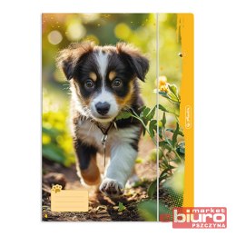 TECZKA RYSUNKOWA 4A Z GUMKĄ ANIMALS HERLITZ