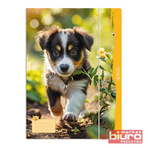 TECZKA RYSUNKOWA 4A Z GUMKĄ ANIMALS HERLITZ