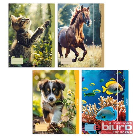 TECZKA RYSUNKOWA 4A Z GUMKĄ ANIMALS HERLITZ