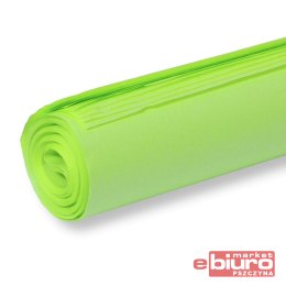 BIBUŁA KOLOROWA GŁADKA 50X70CM J. ZIELONA A'30