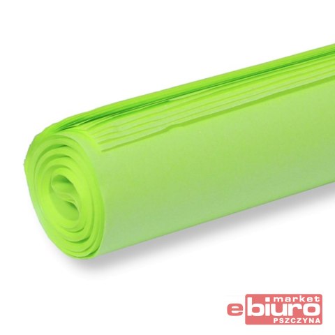 BIBUŁA KOLOROWA GŁADKA 50X70CM J. ZIELONA A'30