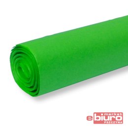 BIBUŁA KOLOROWA GŁADKA 50X70CM ZIELONA A'30 FT-37