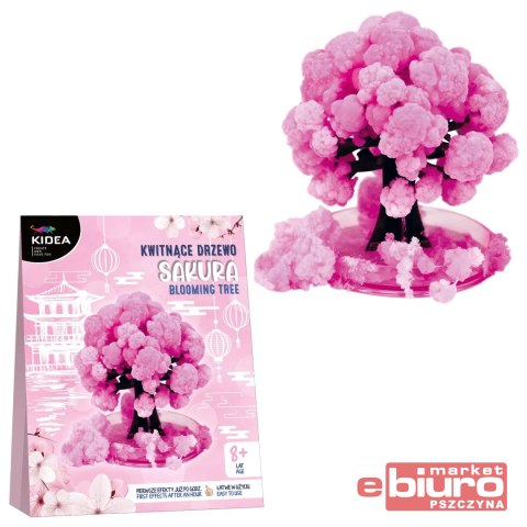 KWITNĄCE DRZEWO SAKURA KIDEA