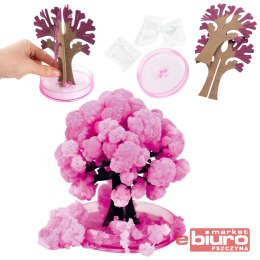 KWITNĄCE DRZEWO SAKURA KIDEA