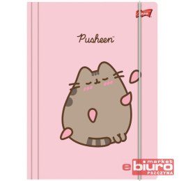 TECZKA Z GUMKĄ A4 300G/M2 PUSHEEN