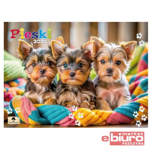 KALENDARZ ALBUMOWY KSA V1 PIESKI PAN KALENDARZYK