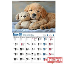 KALENDARZ ALBUMOWY KSA V1 PIESKI PAN KALENDARZYK